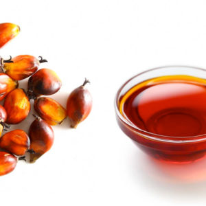 Palm Oil