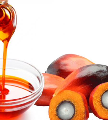 palm-oil